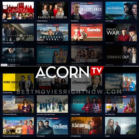 aporn tv|Acorn TV.